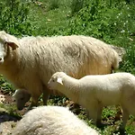 Agroturismo Matxani Gran Bauernhof