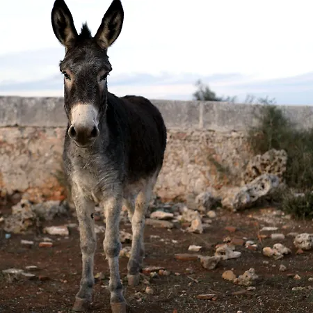 ファームステイ Matxani Gran