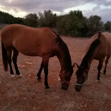 Matxani Gran Sant Climent