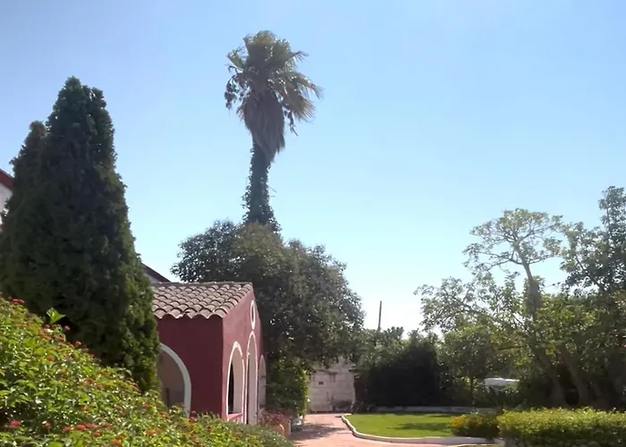 Matxani Gran Sant Climent