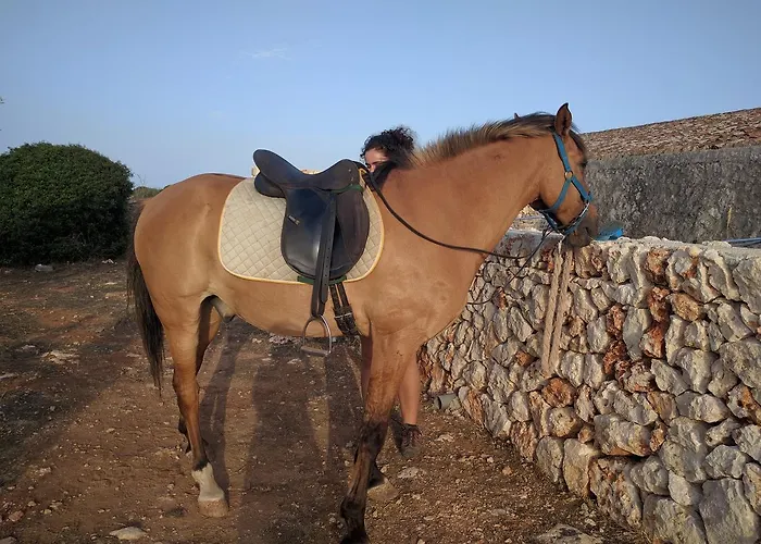 Matxani Gran Alojamento de Turismo Rural *