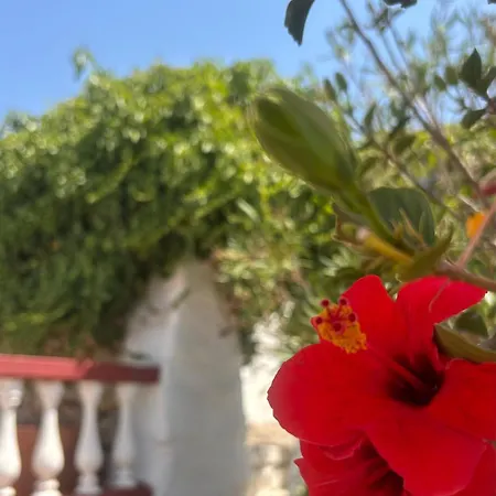 Agroturismo Matxani Gran *