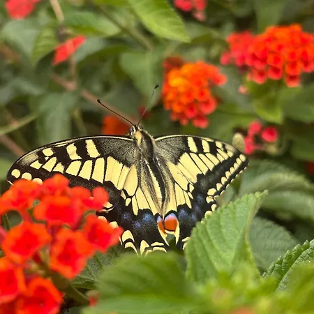 Agroturismo Matxani Gran * Sant Climent