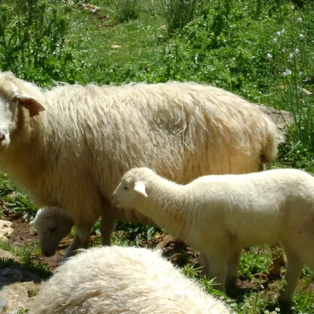 Agroturismo Matxani Gran Bauernhof