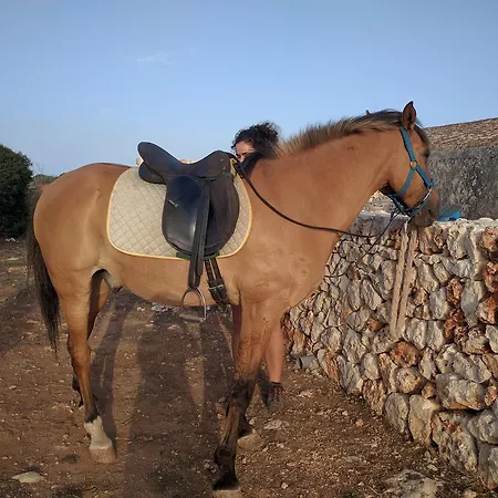 Agroturismo Matxani Gran Bauernhof *