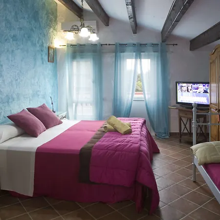 Matxani Gran * Sant Climent