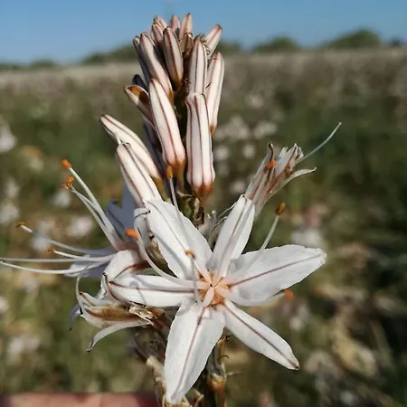 Bauernhof Agroturismo Matxani Gran